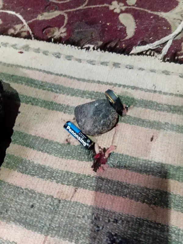 شهاب سنگ|کلکسیون اشیاء عتیقه|بیرجند, |دیوار