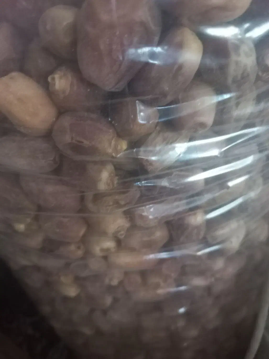 قصب|خوردنی و آشامیدنی|افزر, |دیوار