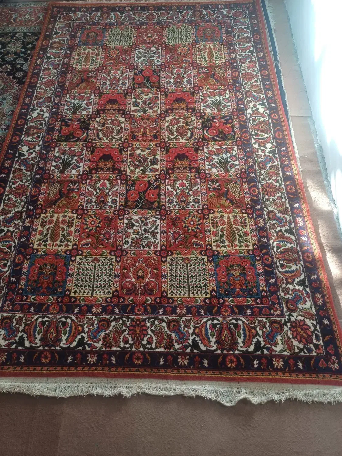 قالی|فرش|سامان, |دیوار