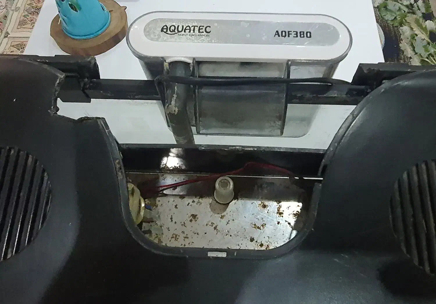 آکواریوم شرکتی هایلا|ماهی|کهریزک, |دیوار