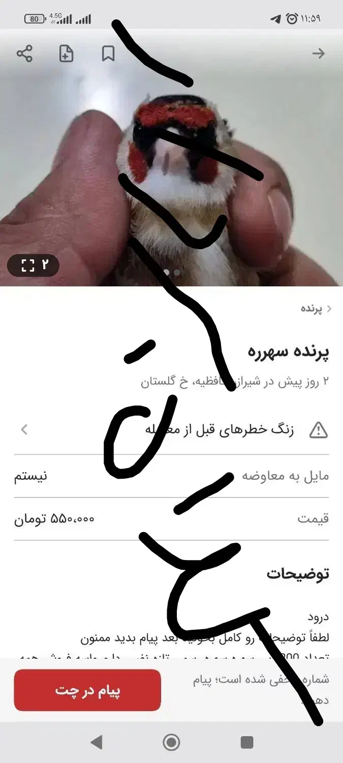 سهرره سقاا|پرنده|شیراز, حافظیه|دیوار