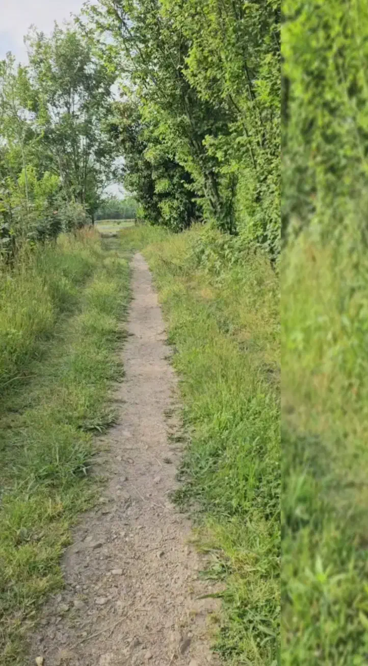 یک هکتار  ملک روستایی  همراه با بنا لاهیجان|فروش زمین و ملک کلنگی|لاهیجان, بوجایه|دیوار