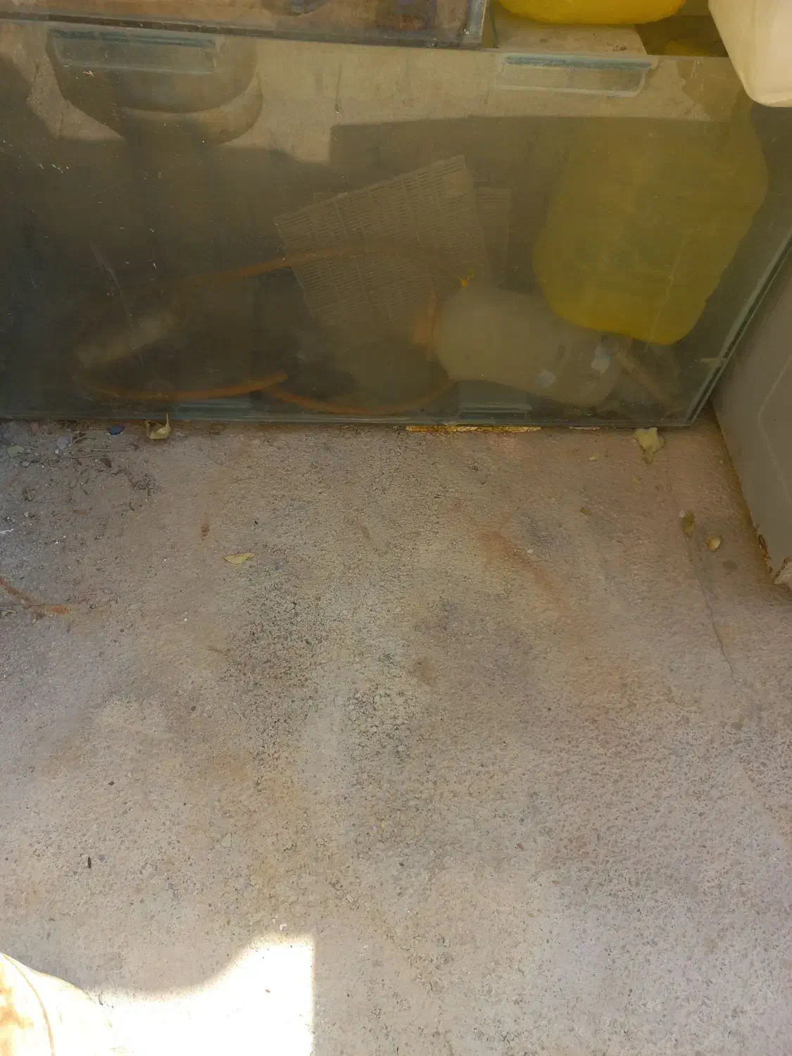 اکواریوم|ماهی|مرودشت, پشت سایپا|دیوار