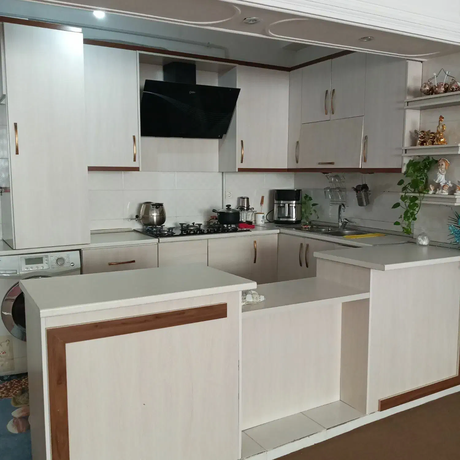 اجاره آپارتمان|اجارهٔ آپارتمان|زنجان, |دیوار