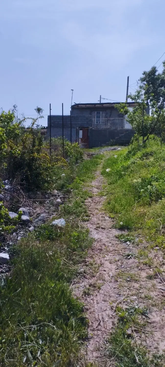 باغ|فروش زمین و ملک کلنگی|مشهد, کوشش|دیوار