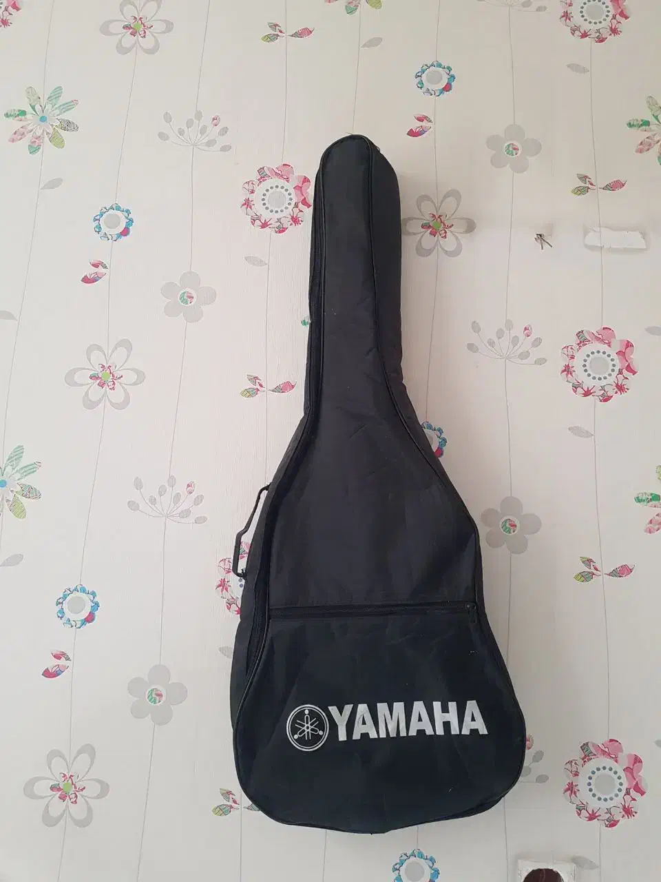 کیف گیتار|گیتار، بیس، امپلیفایر|فشاپویه, |دیوار