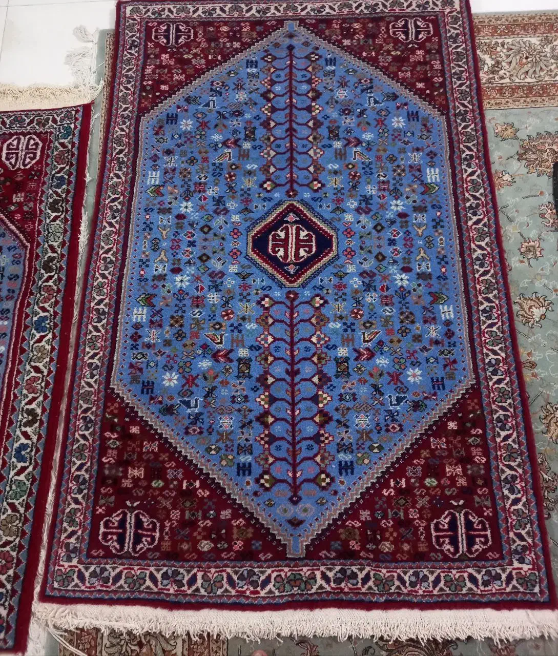 قالی دستباف اباده|فرش|آباده, |دیوار