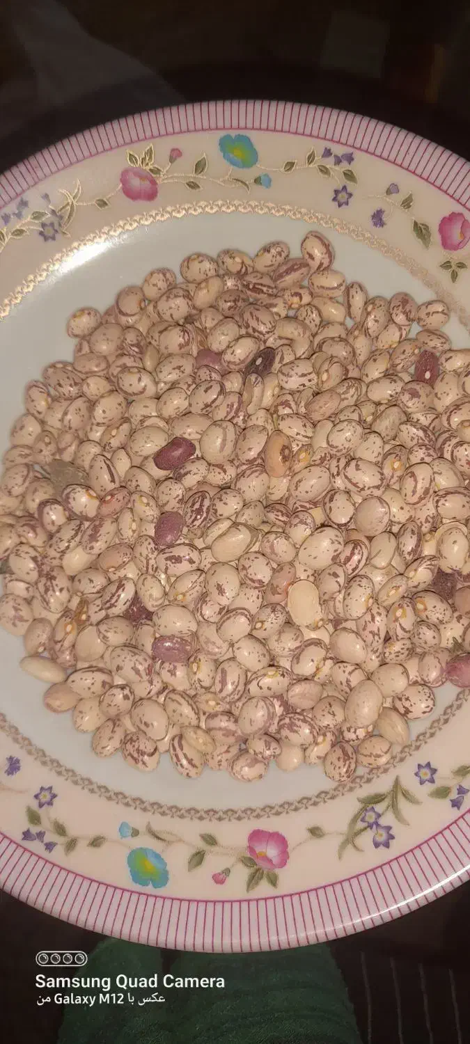 لوبیا چیتی مرغوب|عمدهفروشی|بهمن صغاد, |دیوار