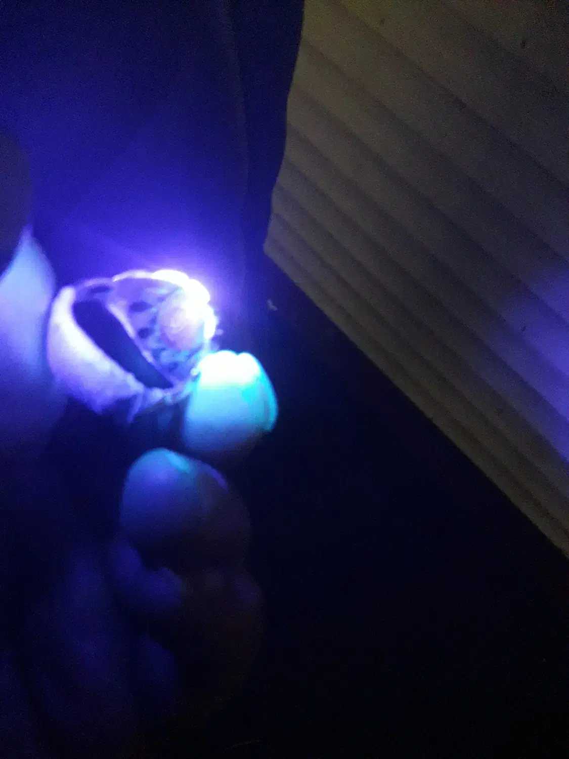 یاقوت کبود افریقا صدرصد طبیعی|جواهرات|رشت, بلوار گیلان|دیوار