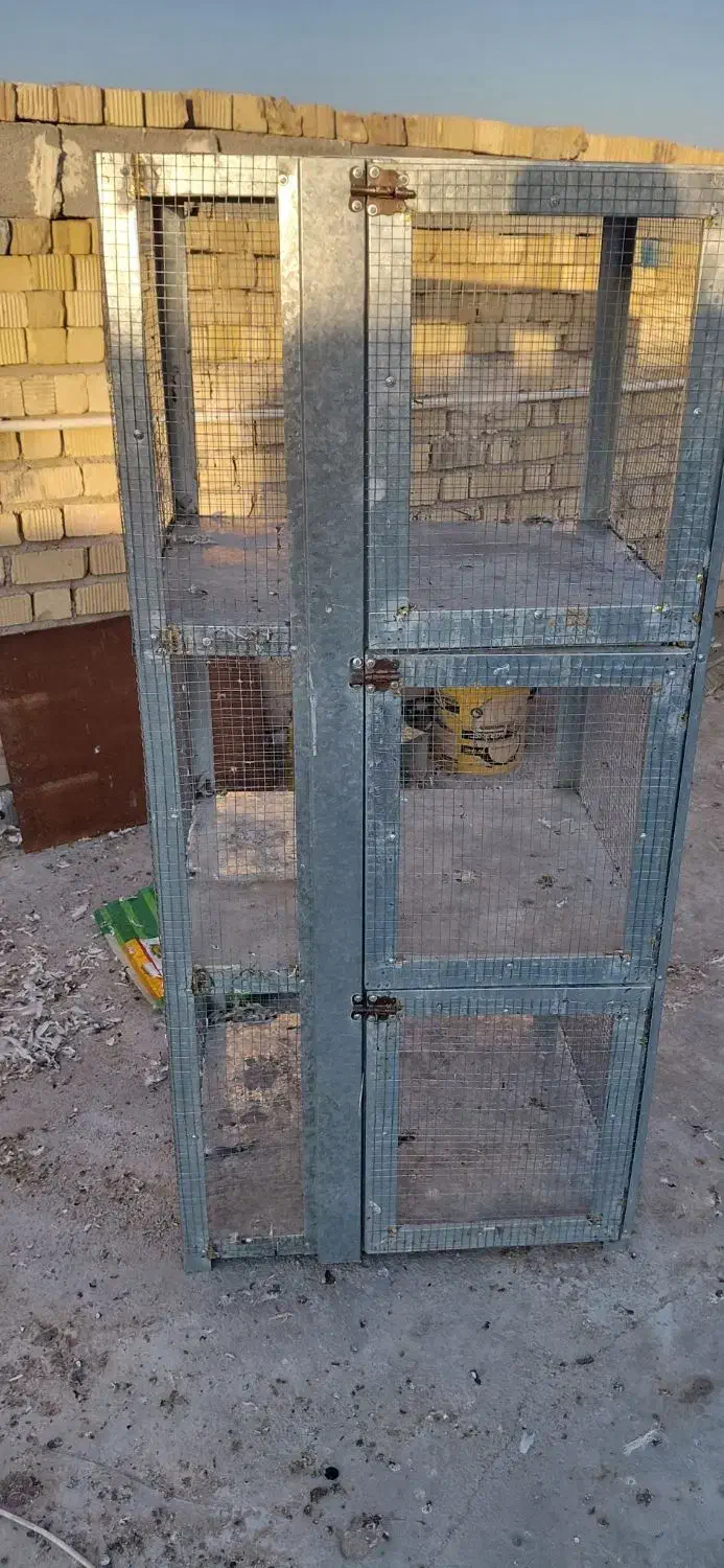 جفت دونی کفتر|لوازم جانبی حیوانات|مرودشت, رودبال|دیوار