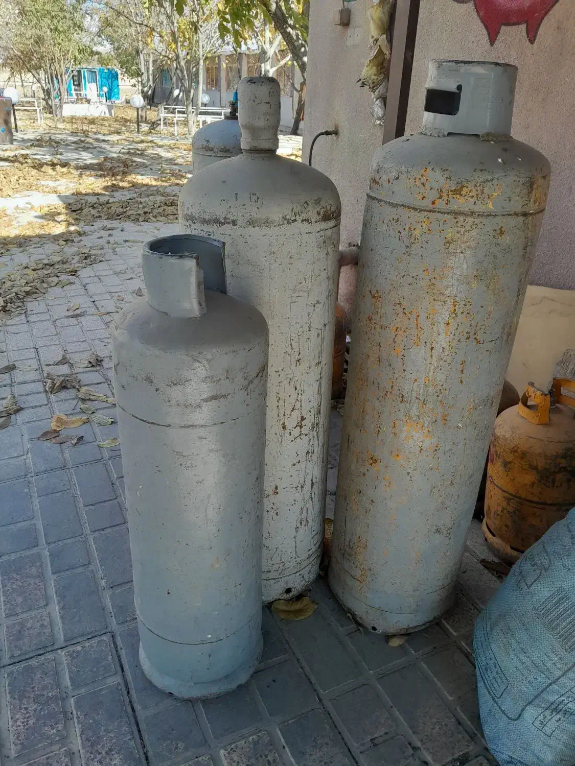 کپسول گاز|اجاق گاز و لوازم برقی پختوپز|کنگاور, |دیوار