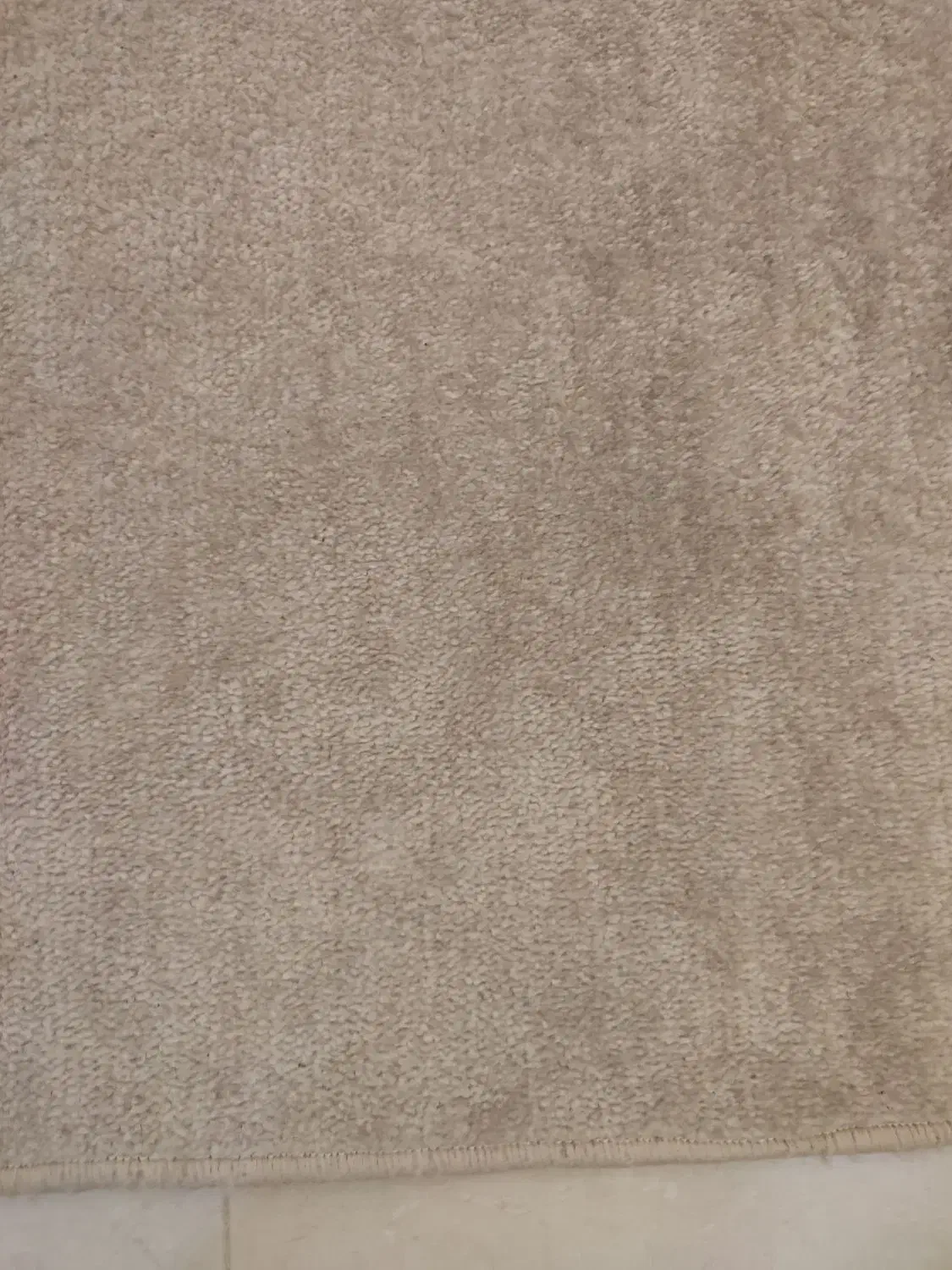 موکت پالاز|موکت|سبزوار, توحیدشهر|دیوار