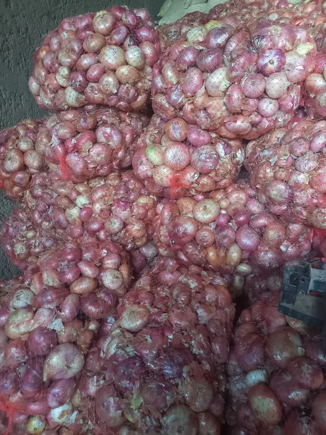 پیاز محلی|عمدهفروشی|قیدار, |دیوار