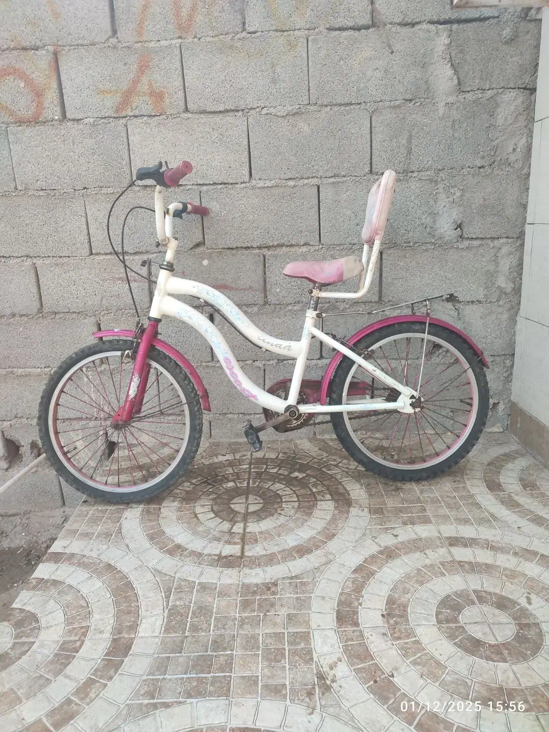 دوچرخه ۲۰|دوچرخه، اسکیت، اسکوتر|بندرعباس, |دیوار