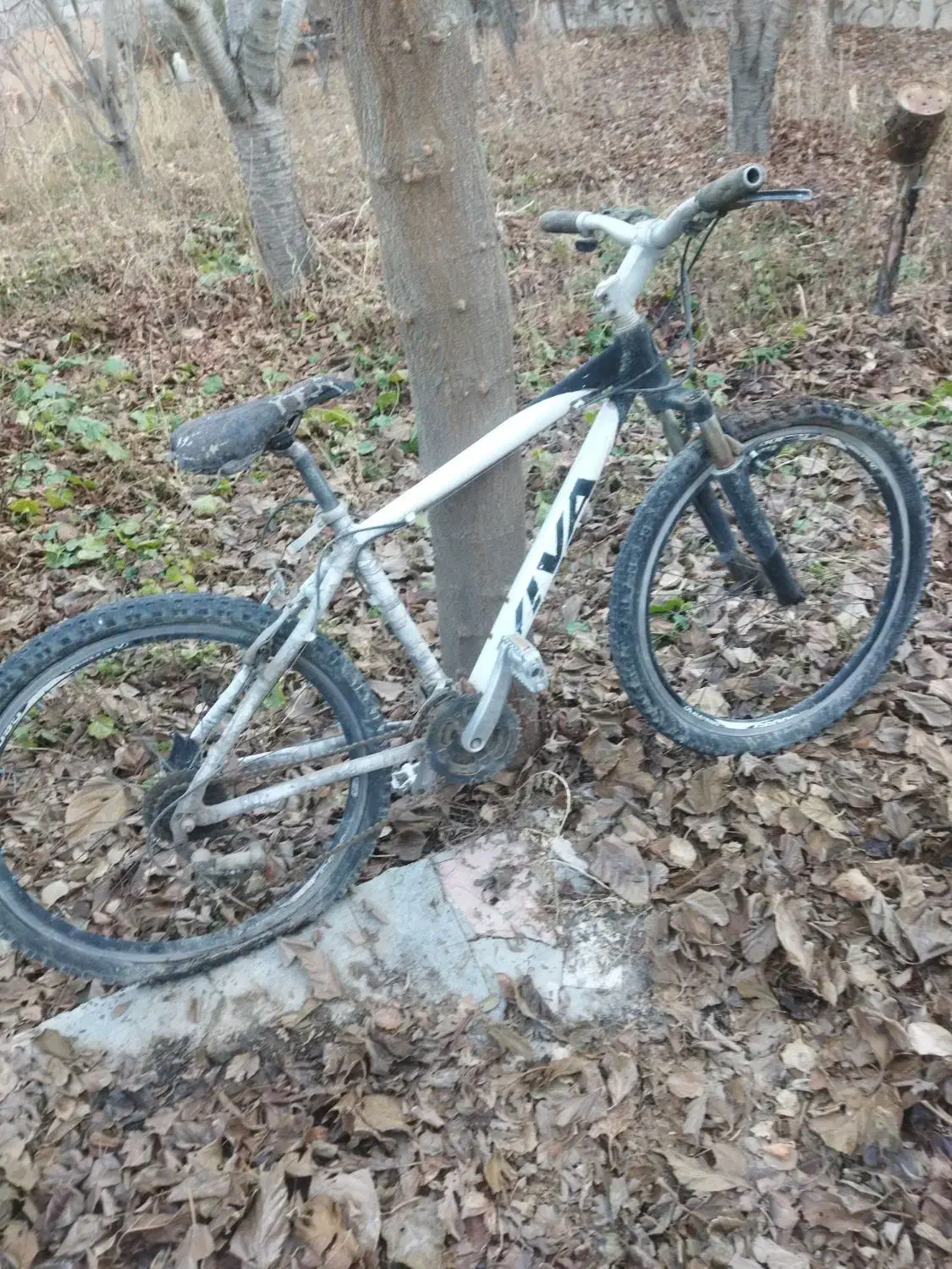 دوچرخه ویوا|دوچرخه، اسکیت، اسکوتر|باسمنج, |دیوار