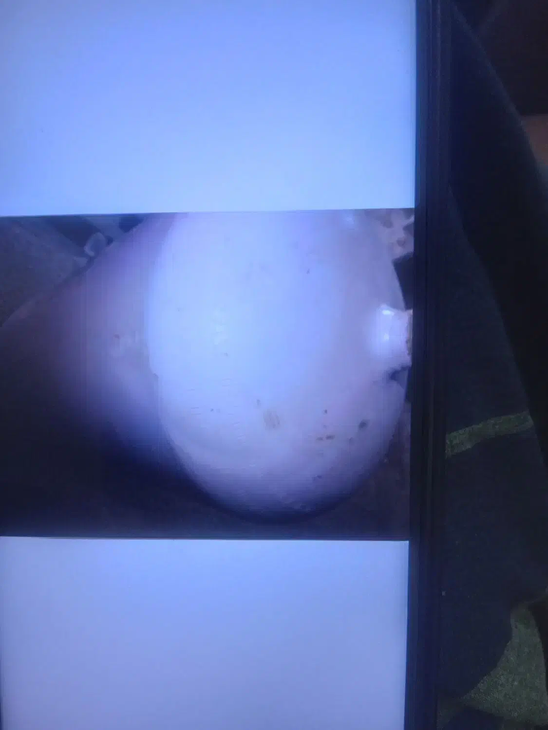 کپسول سی ان جی با لاستیک باربند|قطعات یدکی و لوازم جانبی|چرام, |دیوار