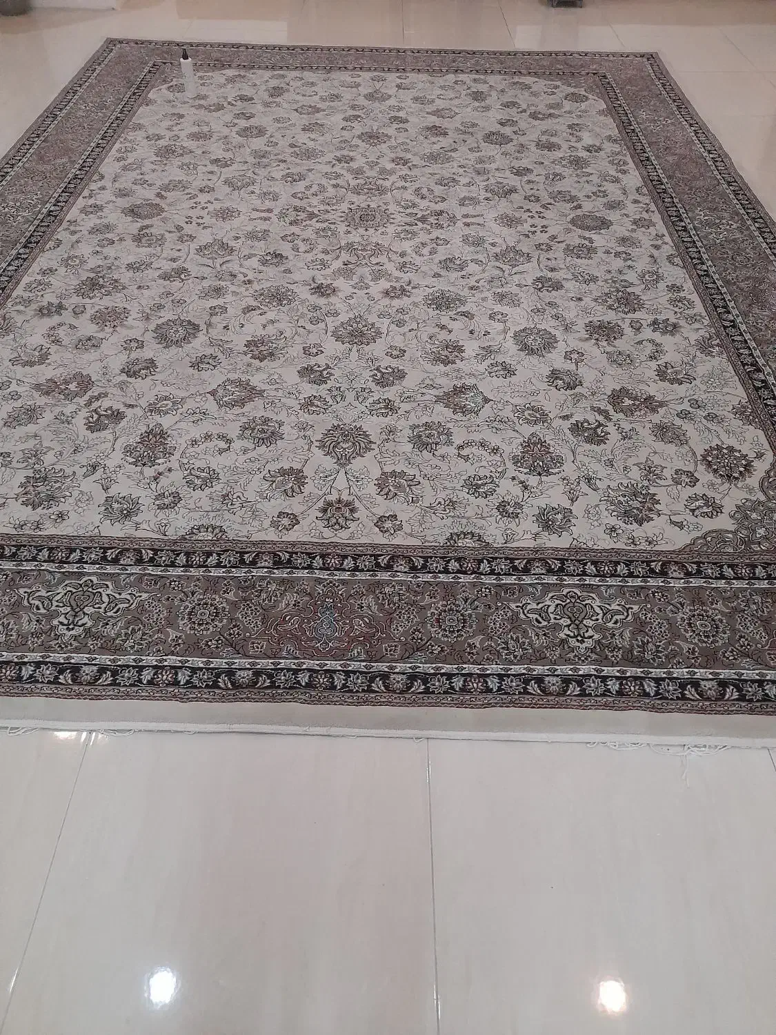 ۲ عدد فرش ۱۲ متری مشهد|فرش|ساری, |دیوار