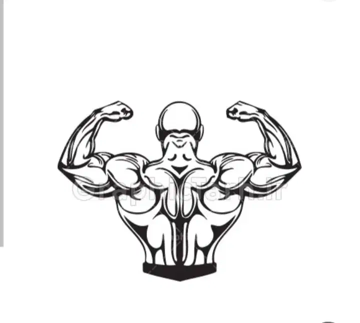 برنامه تمرینی و تغذیه تمرین باشگاه و در خانه|خدمات آموزشی|تهران, خرمشهر|دیوار