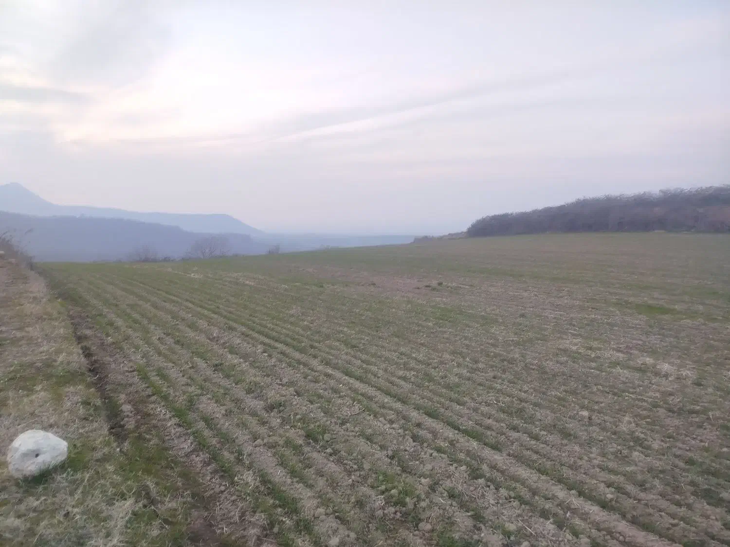 زمین شموشک برای خانه باغ|فروش زمین و ملک کلنگی|گرگان, |دیوار