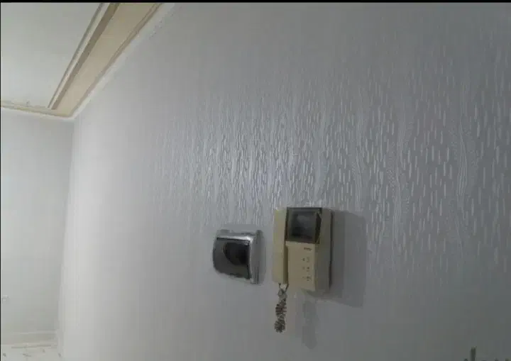 نقاشی ساختمان طرح کاغذدیواری|خدمات پیشه و مهارت|املش, |دیوار