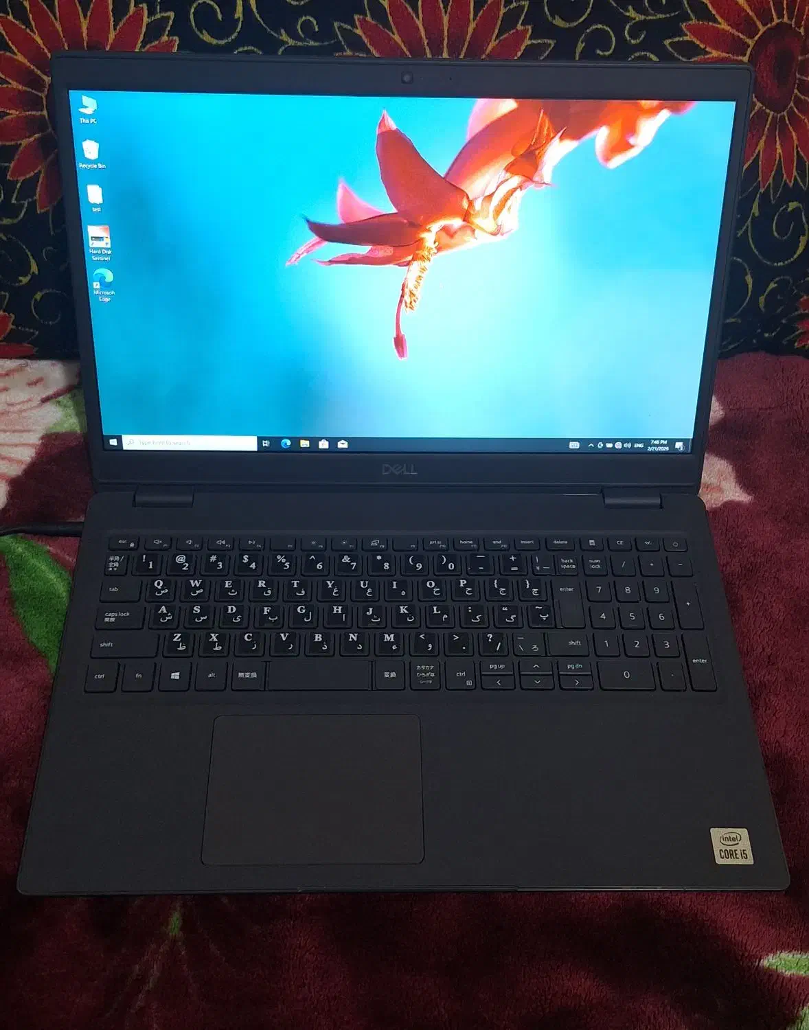 لپ تاپ DELL|رایانه همراه|شیراز, حجت آباد|دیوار