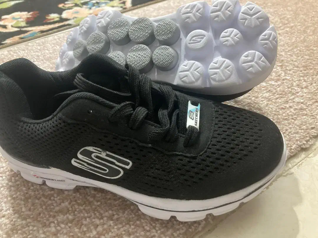 کتانی|کیف، کفش، کمربند|قم, شاه سید علی|دیوار