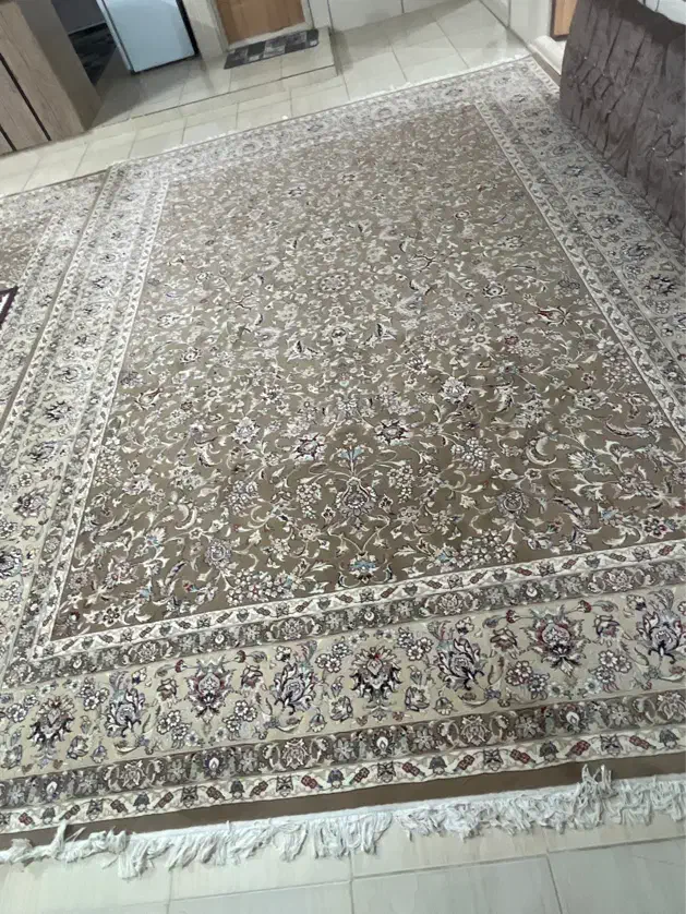 فرش نو|فرش|شهرضا, |دیوار