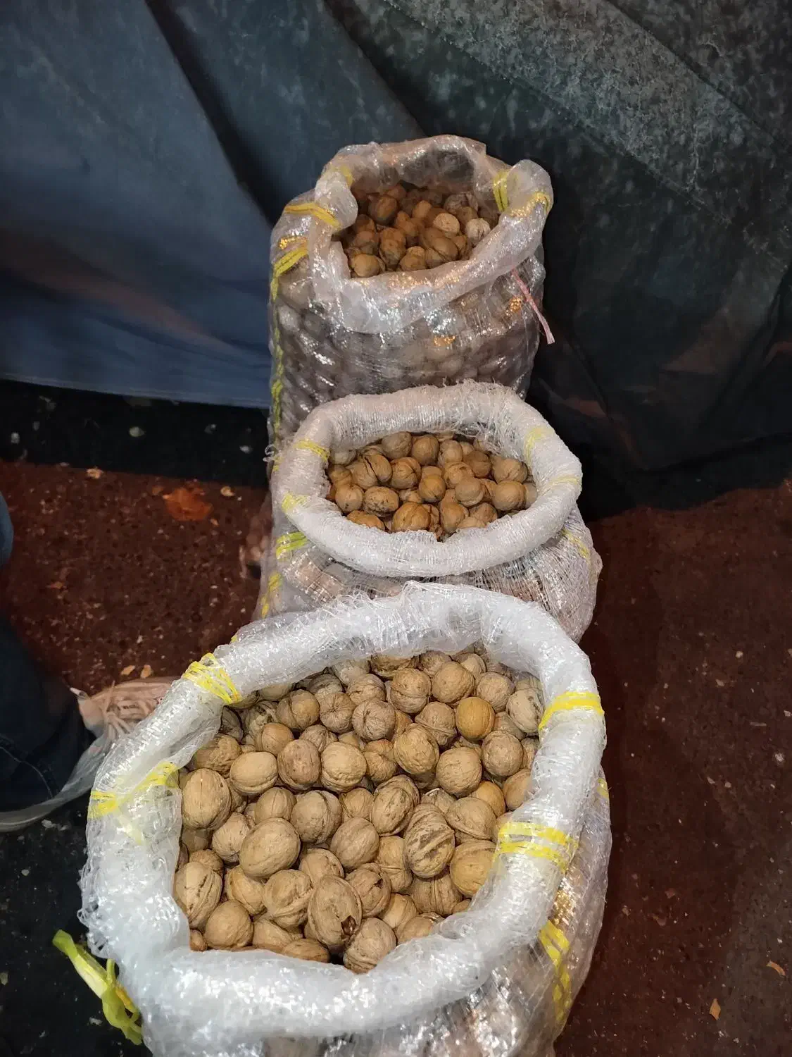 خشکبار|عمده‌فروشی|کرج, المهدی|دیوار