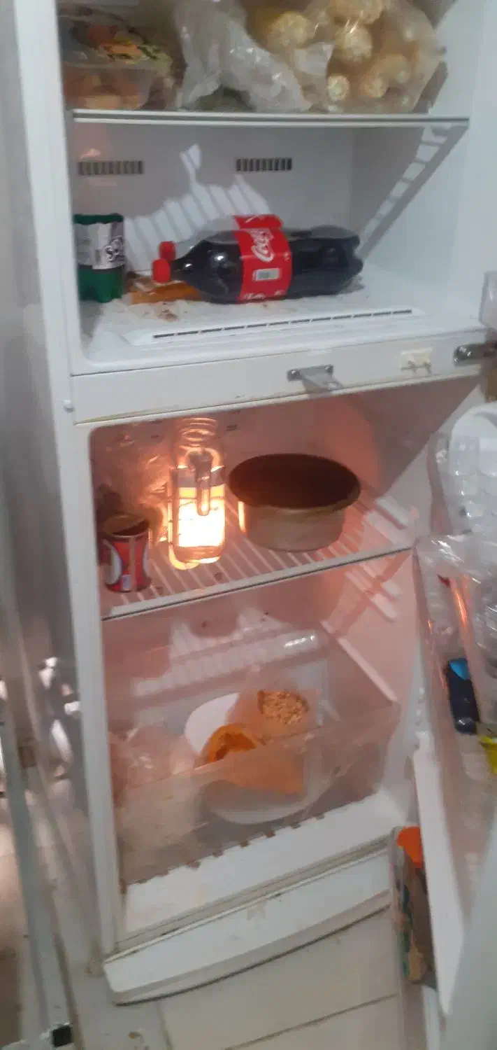 فرش دستی۱۲متری|فرش|پرند, فاز ۴|دیوار