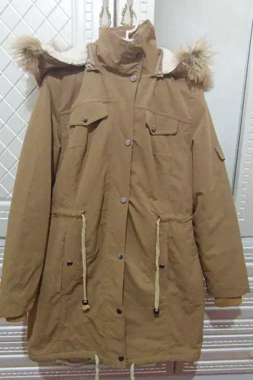 بالتو|لباس|ربط, |دیوار