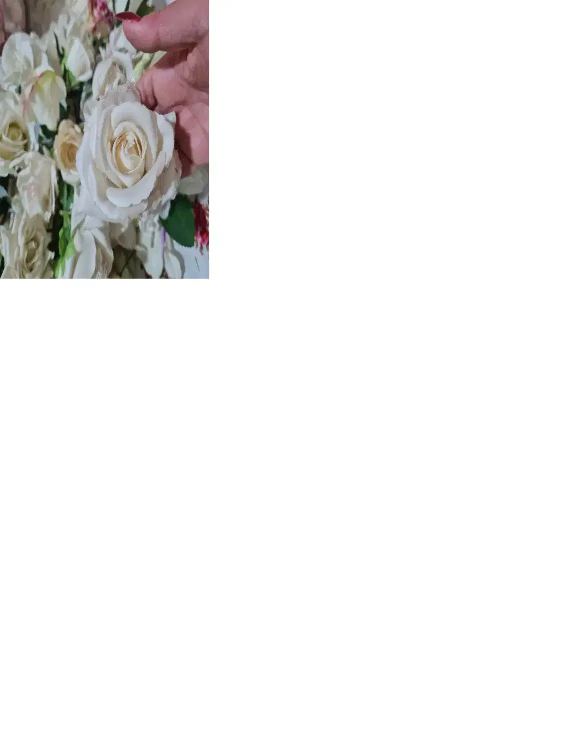 گل مصنوعی مزونی|گل مصنوعی|اسفراین, |دیوار