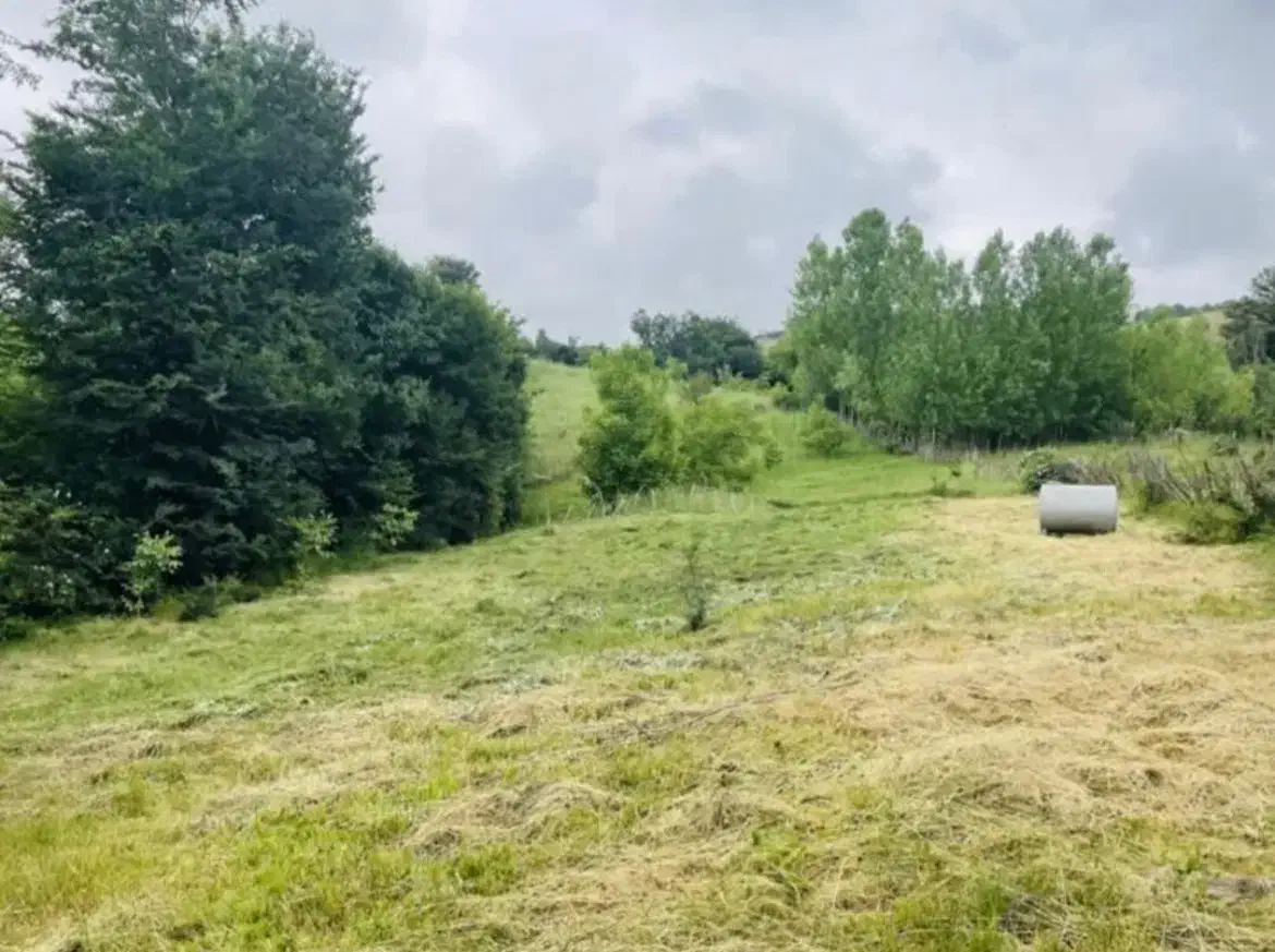 زمین مسکونی|فروش زمین و ملک کلنگی|بره‌سر, |دیوار