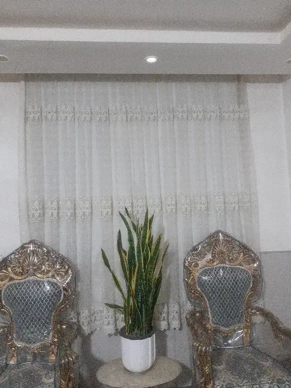 پرده ۶ متر و۳ متر|پرده، رانر، رومیزی|قم, دروازه چوبی|دیوار