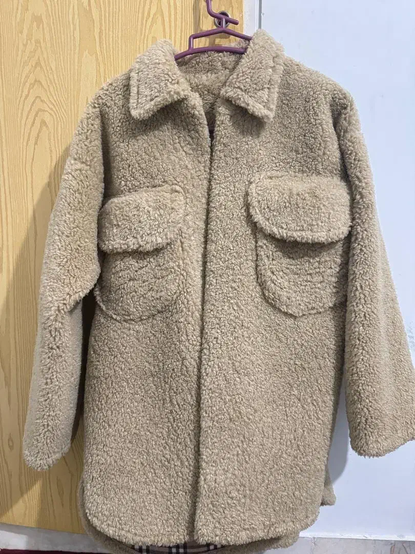 پالتو پشمی|لباس|شیراز, گلشن|دیوار