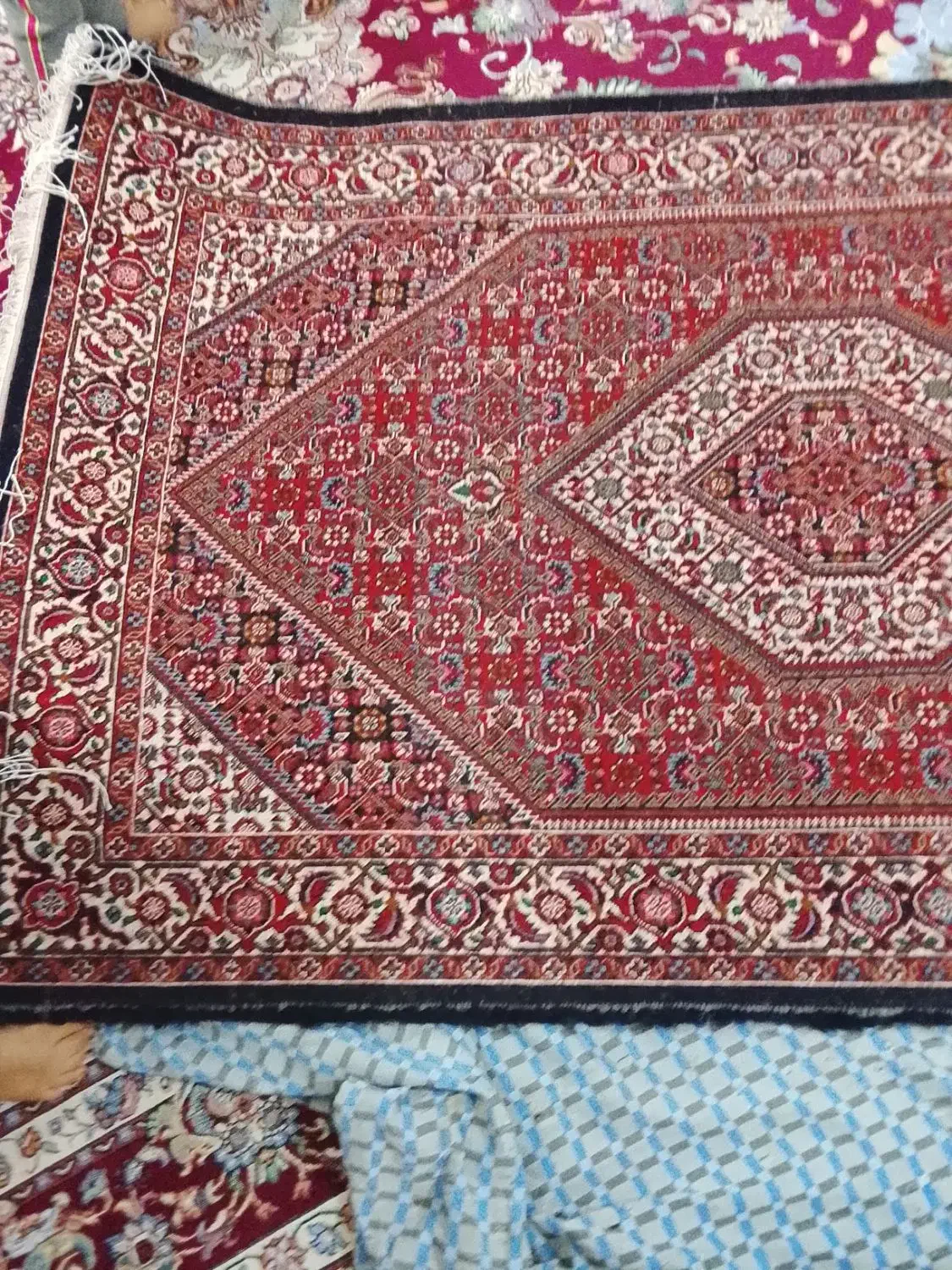 فرش زرنیم|فرش|ایجرود, |دیوار