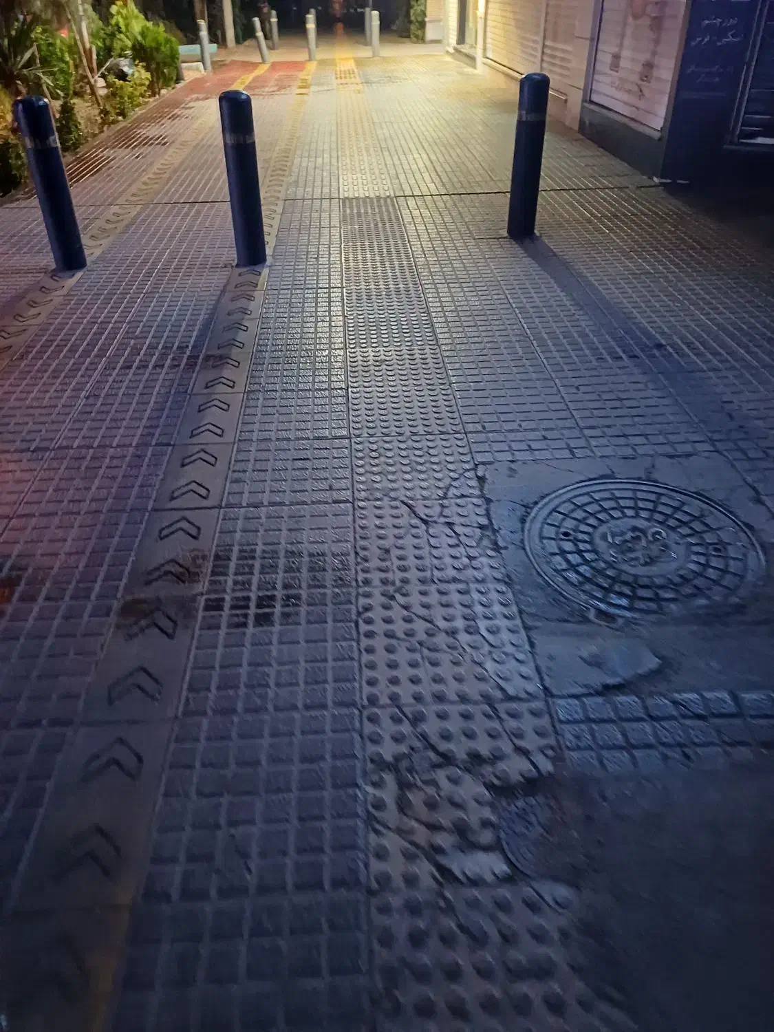 دواطلبان|فعالیت داوطلبانه|اصفهان, باغ زرشک|دیوار