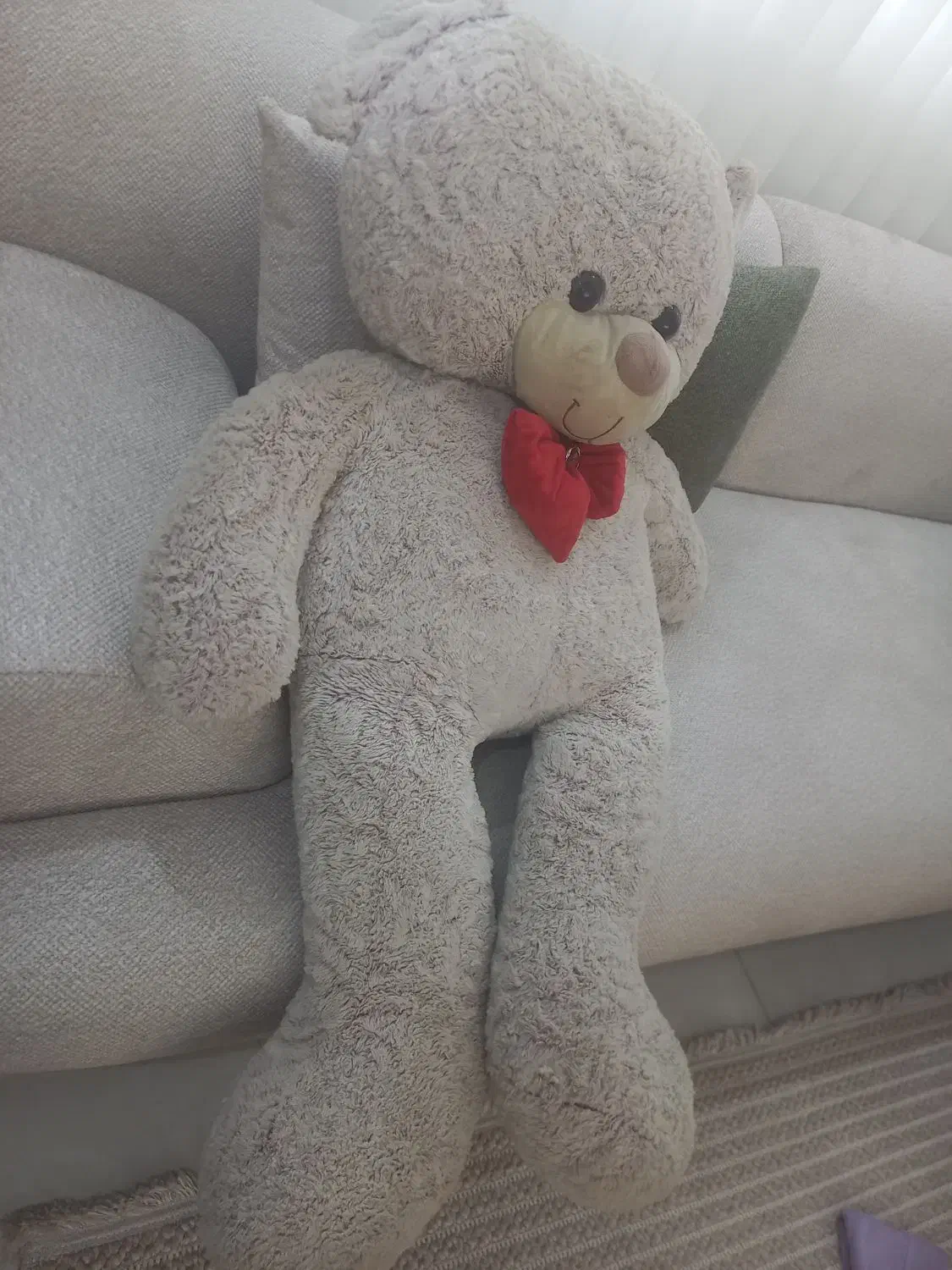 عروسک خرس زیبا|اسباب‌‌بازی|گرگان, |دیوار