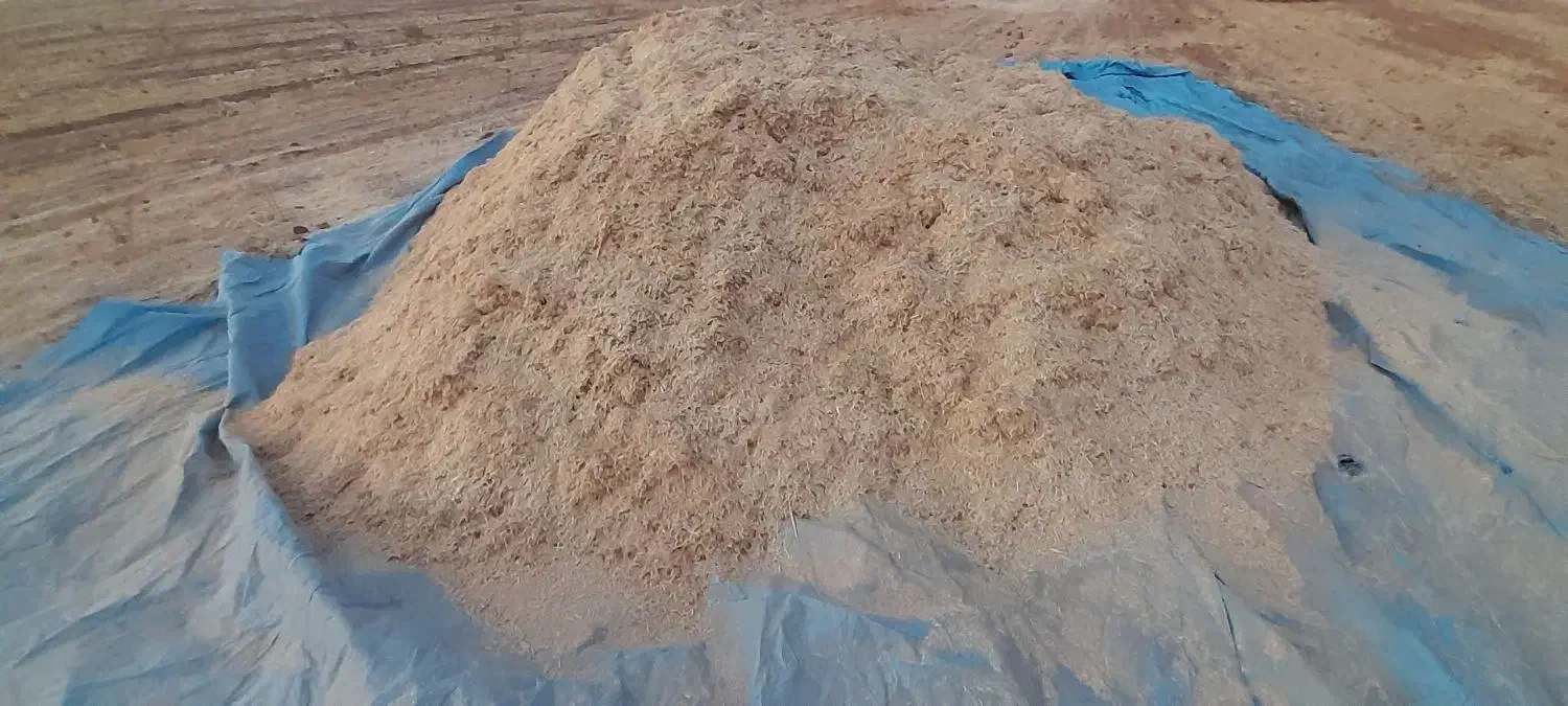 فروش کاه کاهکوب مناسب و تمیز|عمده‌فروشی|تربت جام, جامرود|دیوار