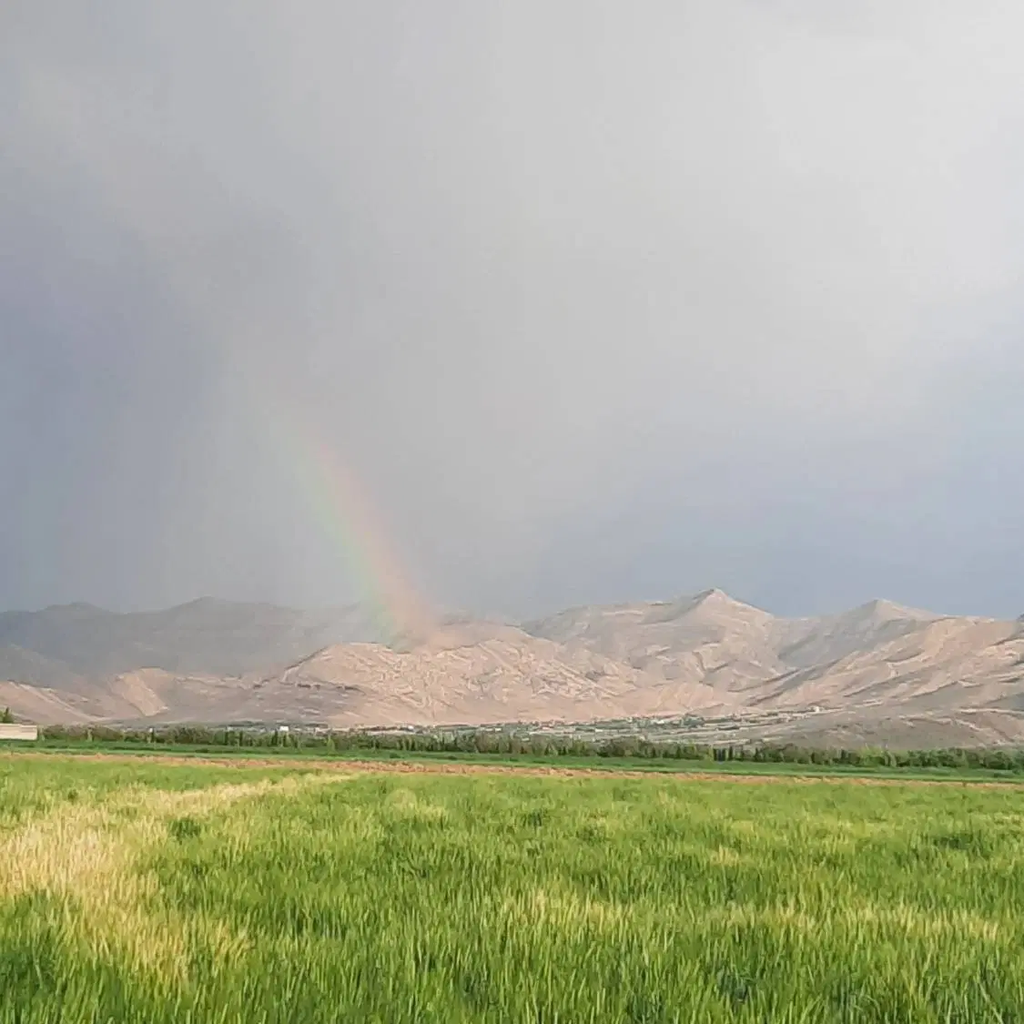 تصویر 2