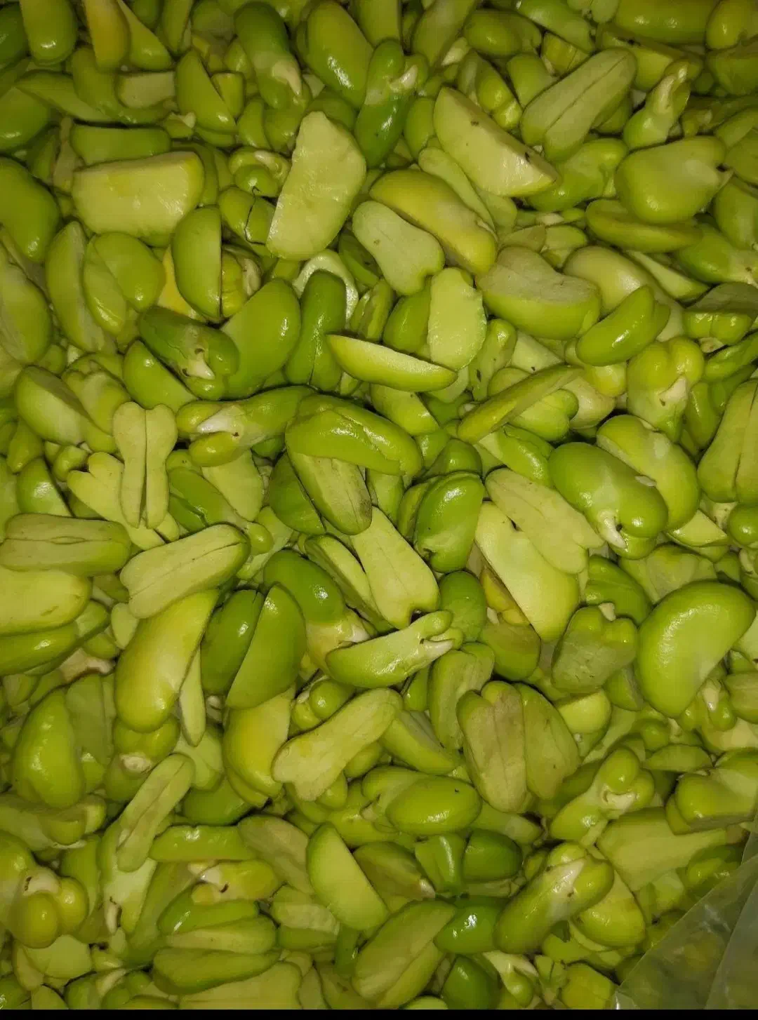 باقالی سبز|خوردنی و آشامیدنی|مشهد, کوشش|دیوار