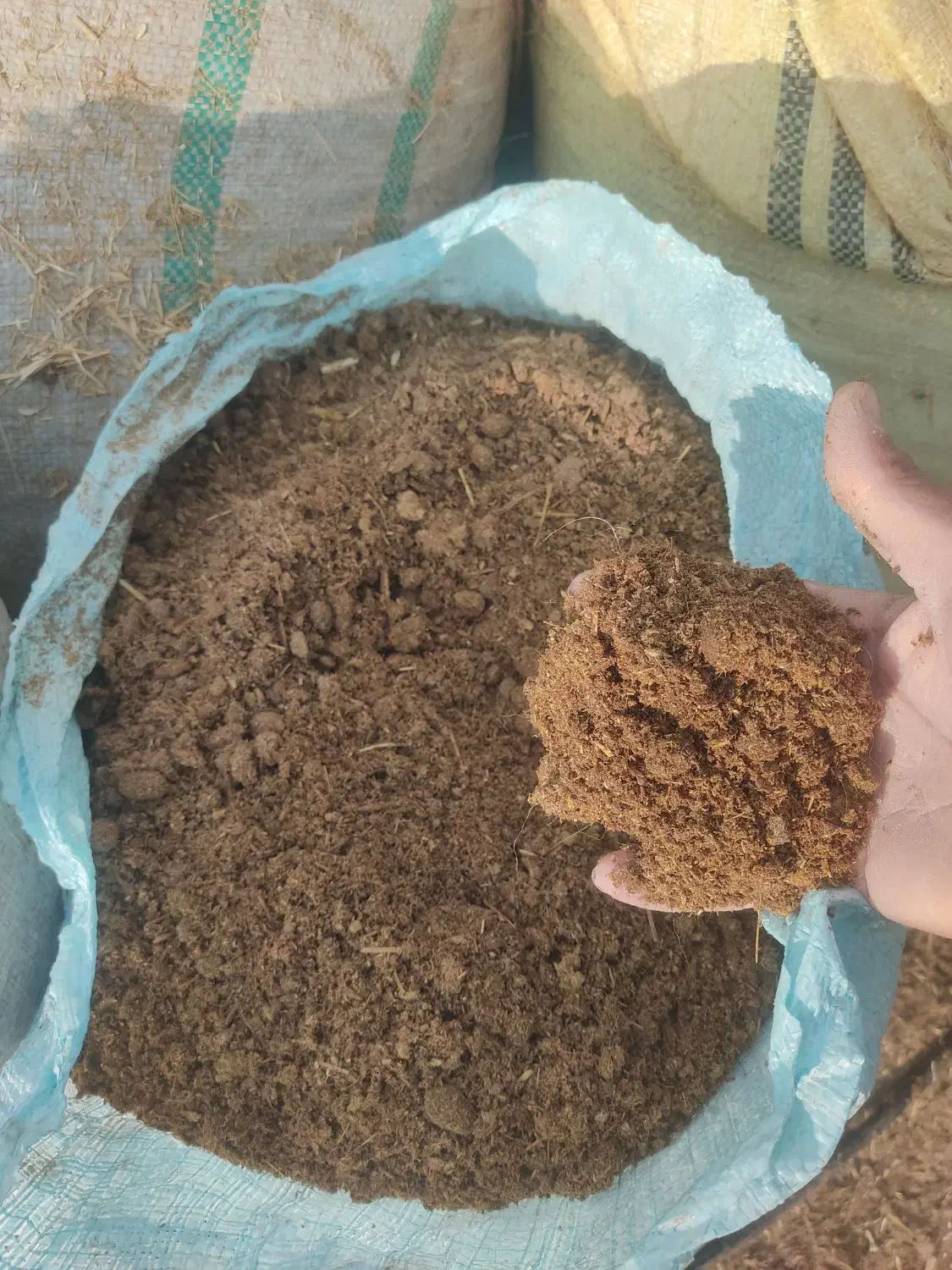 فروش کود حیوانی|حراج|آبدانان, |دیوار