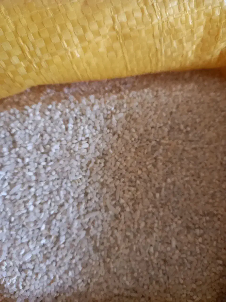 نیمدانه عطری هاشمی140|خوردنی و آشامیدنی|کاشان, قطب راوندی|دیوار