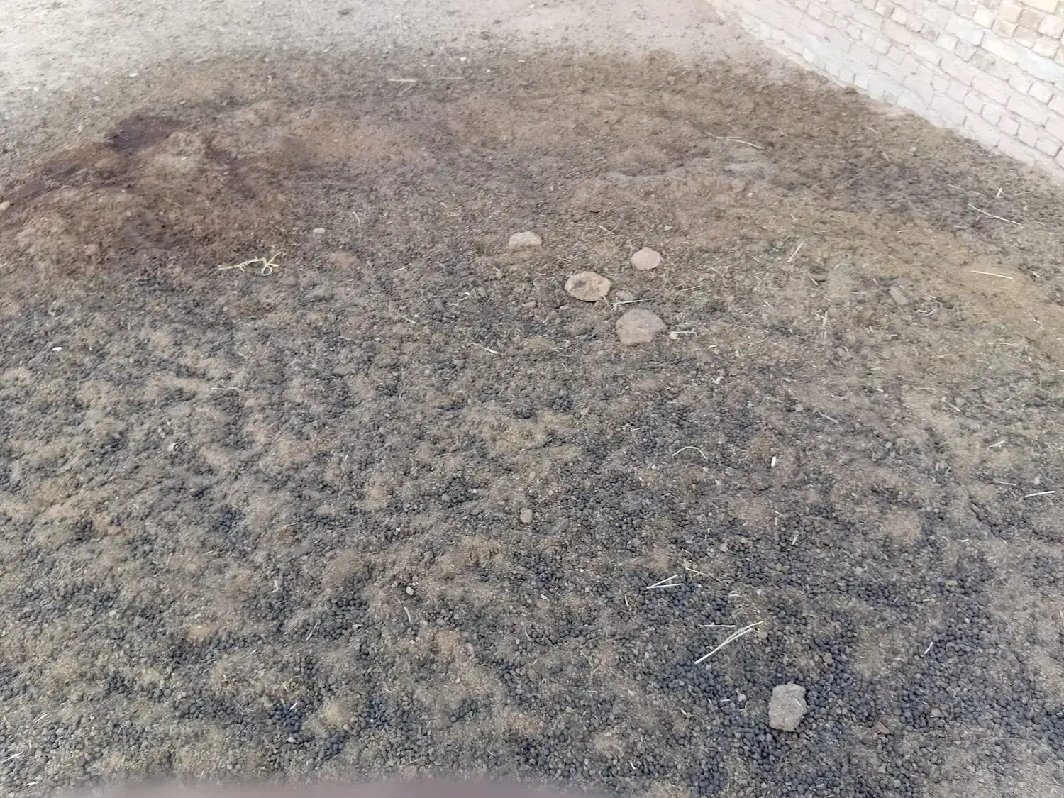 کودگوسفندی|خدمات باغبانی و درختکاری|کرج, شهر صنعتی|دیوار