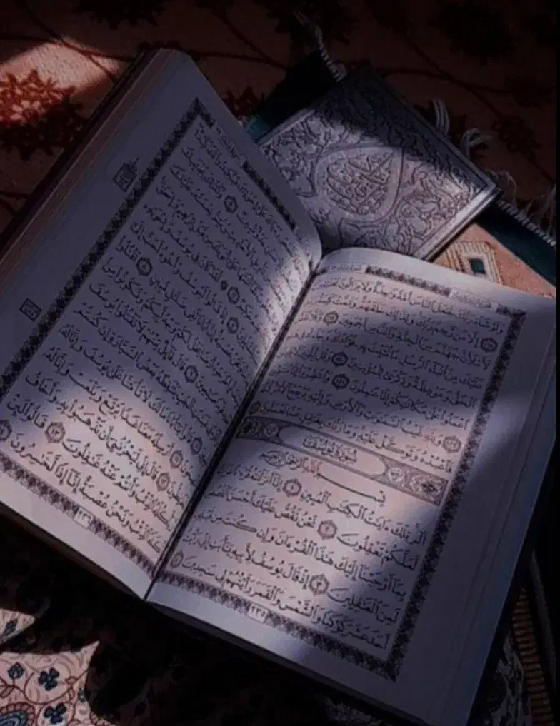 ختم انواع چله ها|فعالیت داوطلبانه|میبد, |دیوار