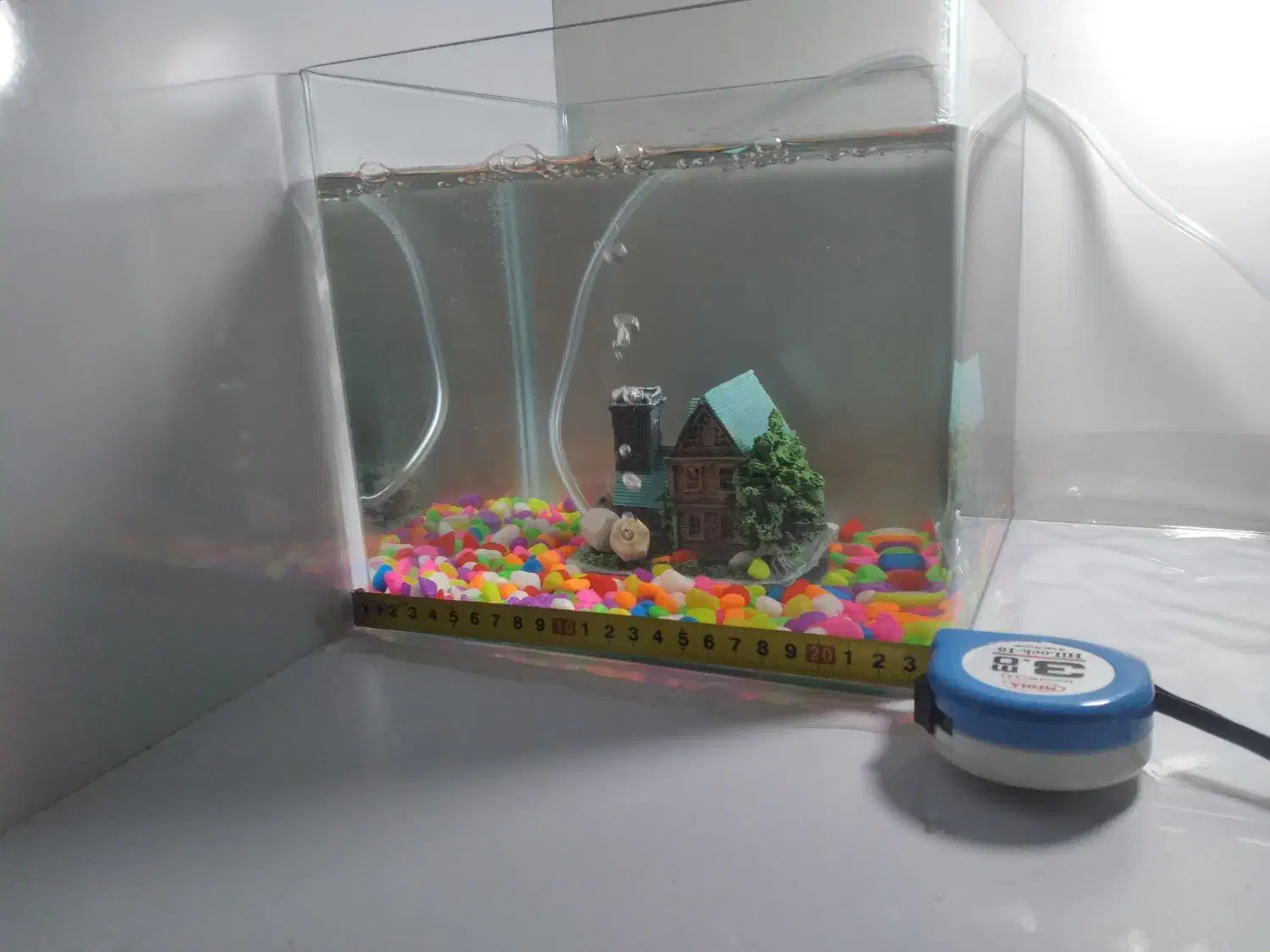 اکواریوم همراه باماهی|ماهی|ابهر, |دیوار