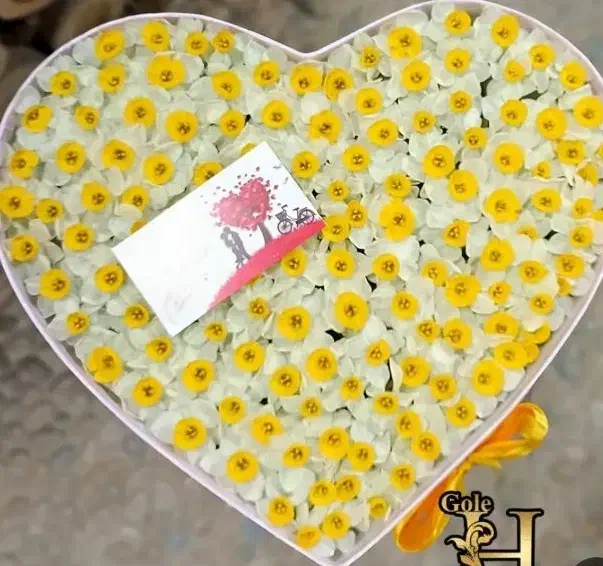 روز مادر توزیع گل نرگس و رز مناسب|گل و گیاه طبیعی|بیرجند, |دیوار