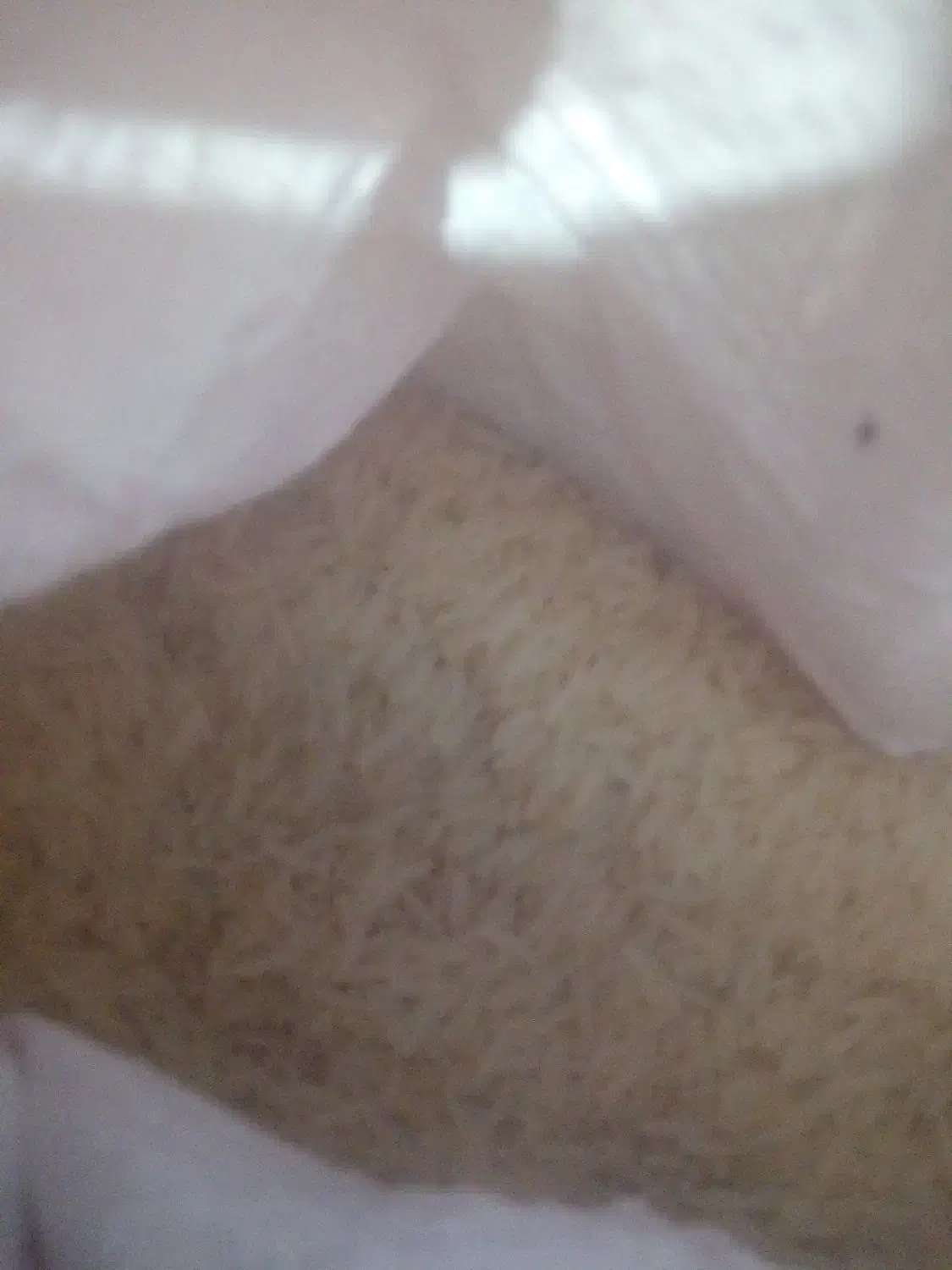 برنج هندی|خوردنی و آشامیدنی|شیراز, بهارستان|دیوار