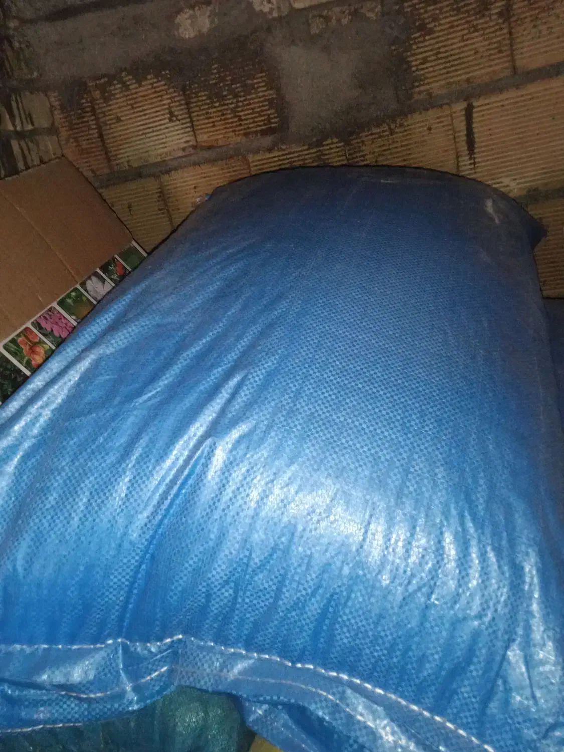 کود|گل و گیاه طبیعی|الشتر, |دیوار