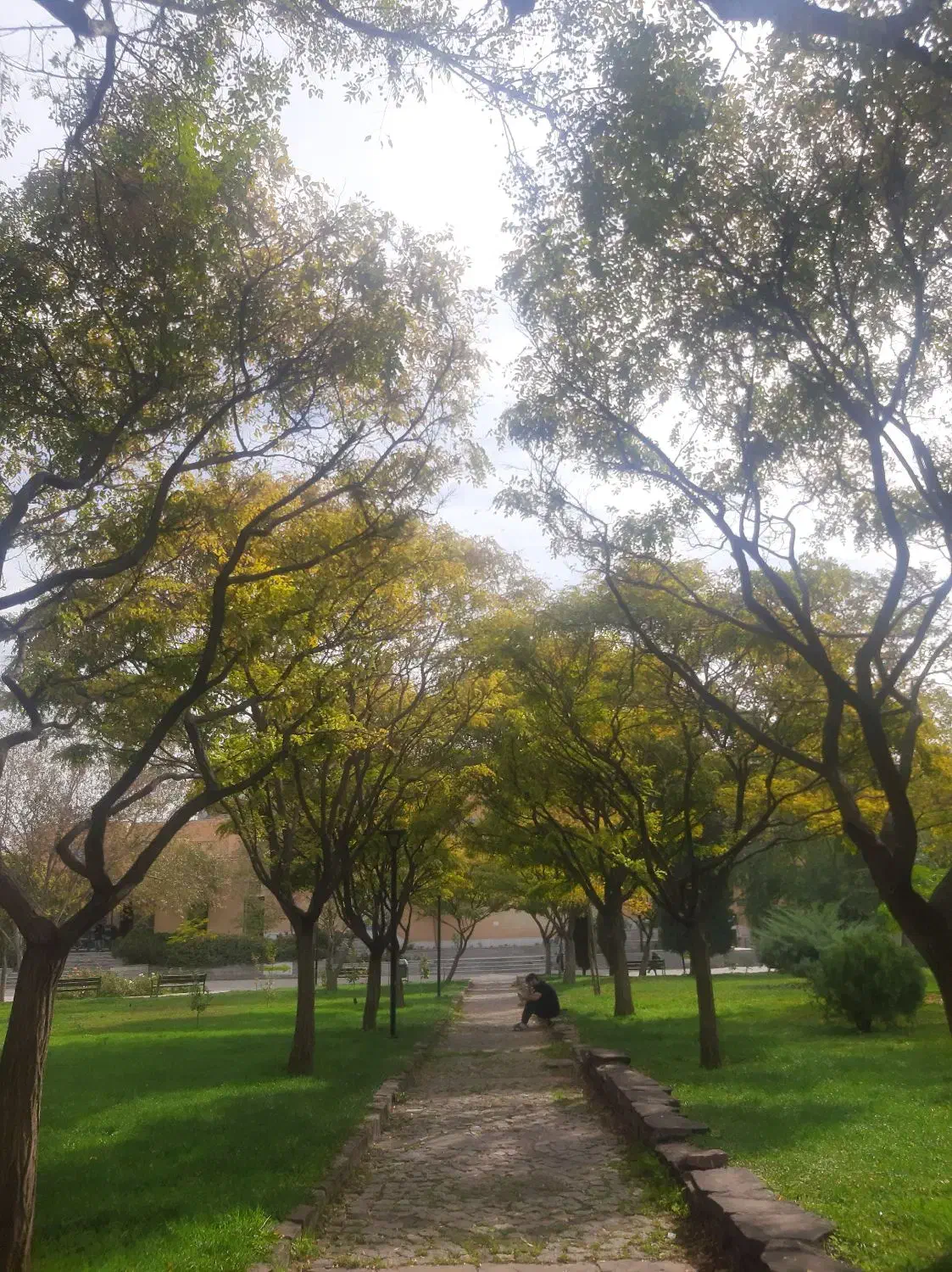 زمین کشاورزی ۸۵۰ متری سند ملک مشاع معاوضه با خودرو|فروش زمین و ملک کلنگی|گلمکان, |دیوار