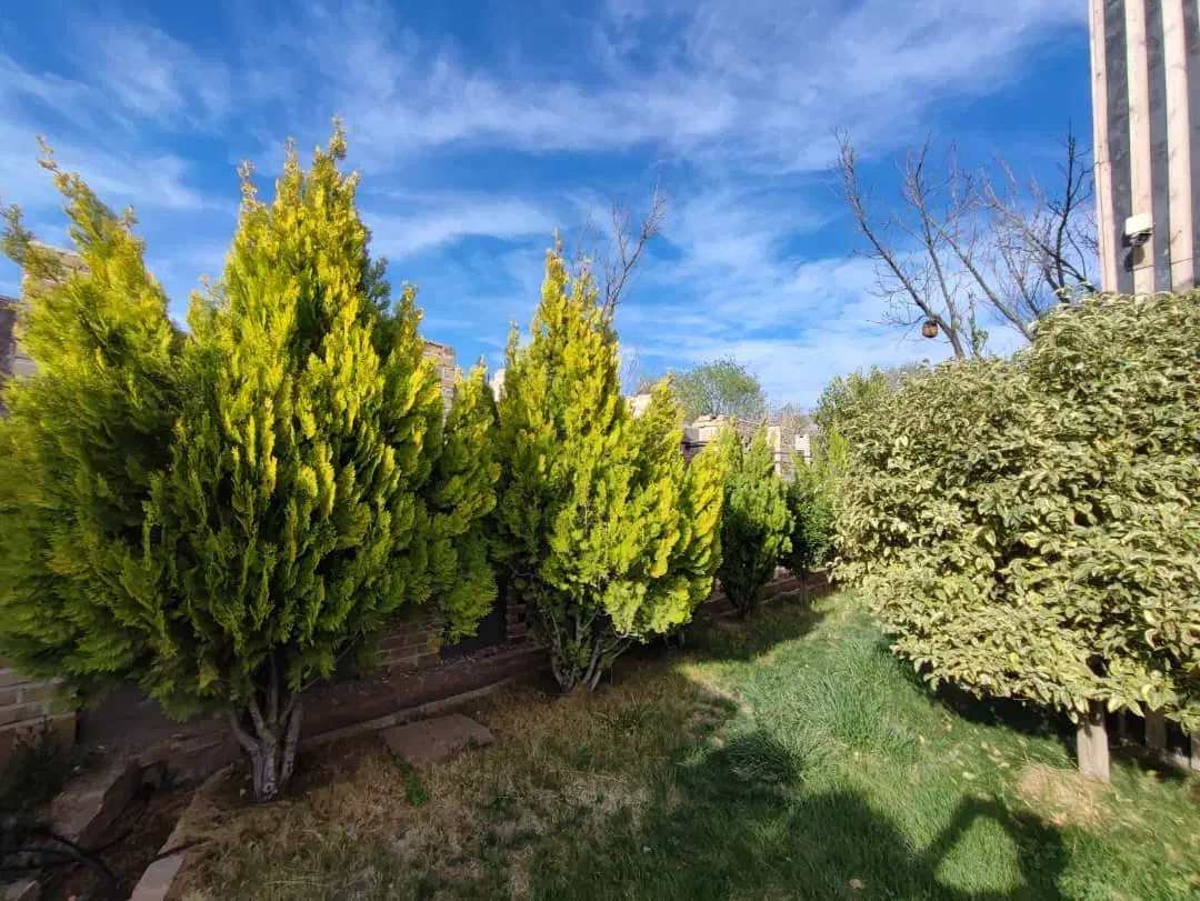 رهن واجاره۴۰۰مترفلت مناسب باشگاه وسالن بر بهمنیار|اجارهٔ دفتر کار، اتاق اداری، مطب|کرمان, |دیوار